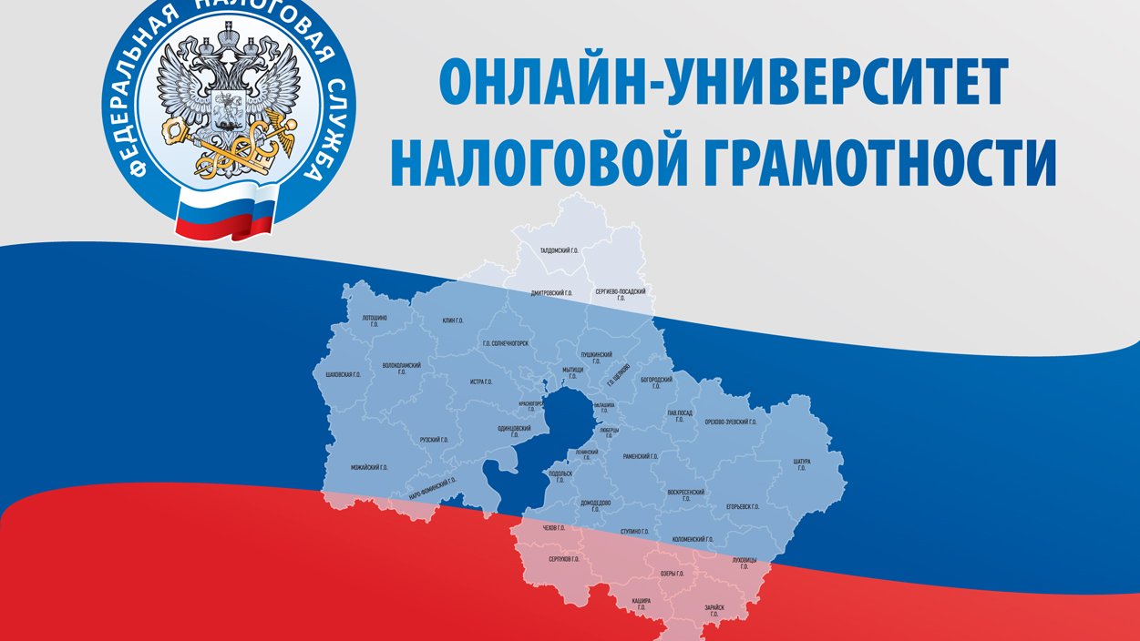 Отраслевой проект фнс
